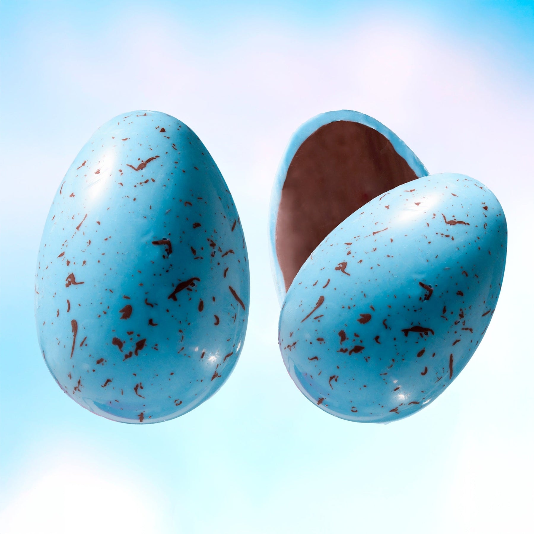 Robin's Egg - Airy Artisan Egg Assortment